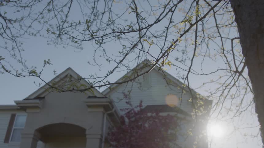 White house sits next to a tree under a sunny sky