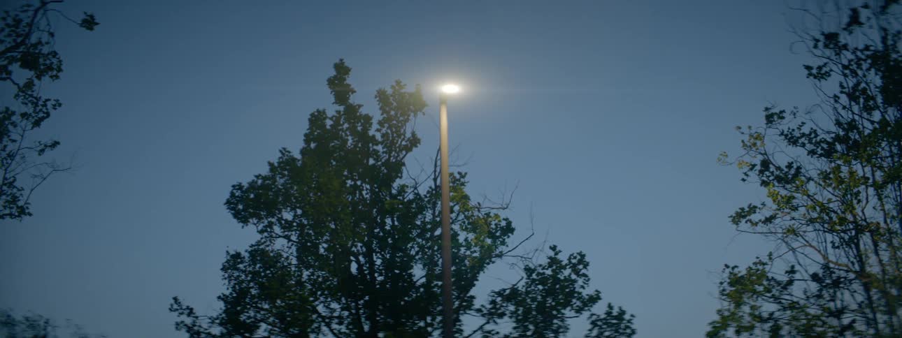 A tree behind a street lights sways in the wind