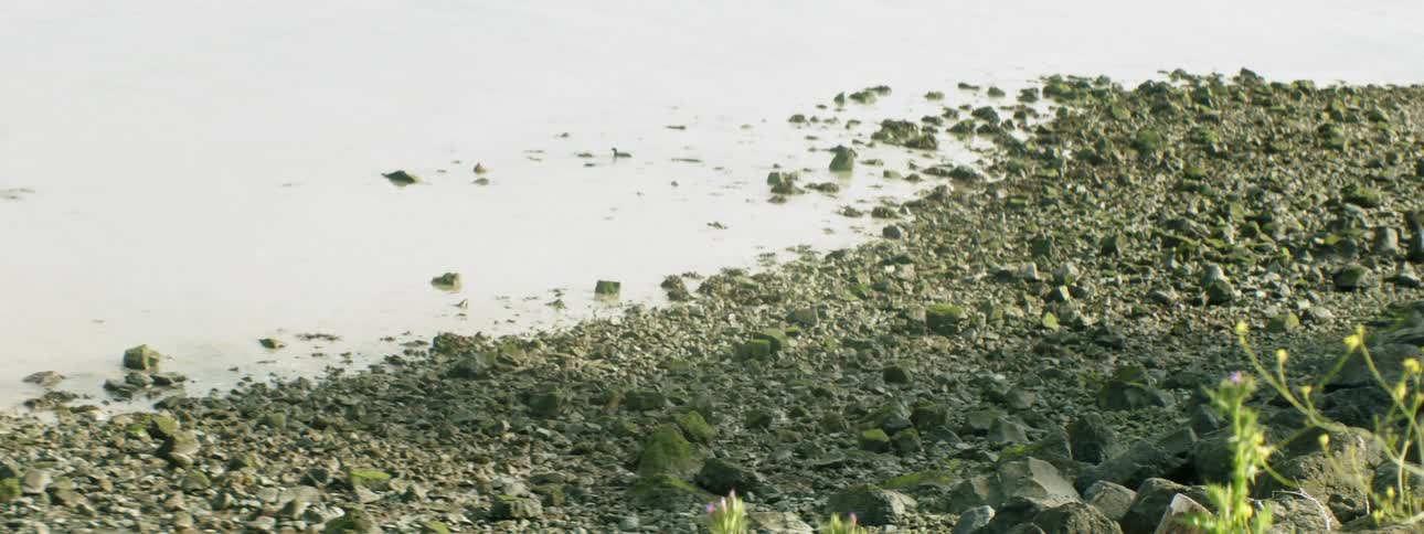 The tide flows onto the beach shore