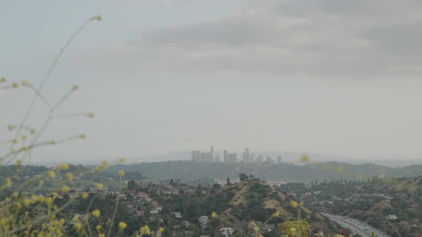 The fog covers the tall buildings in the far distance