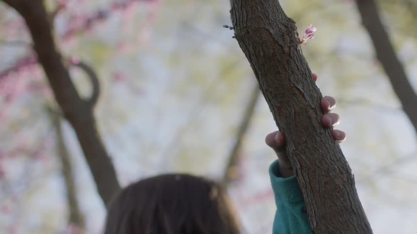 A girl holds onto a tree branch