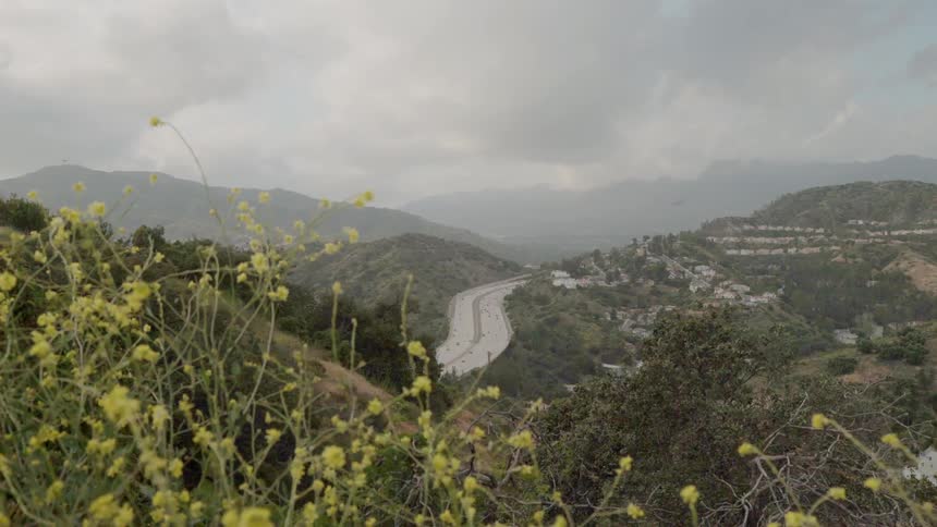 Weeds and brush cover the hills in an urban valley on a cloudy day