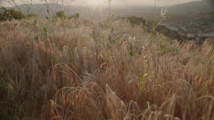 The sun sets over a grassy hill