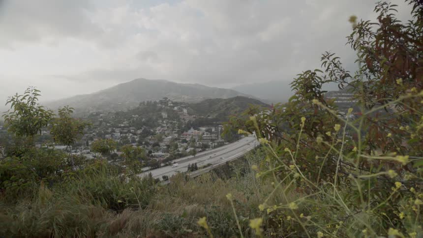 Weeds sway in the breeze on the hills outside an suburban valley on a cloudy day