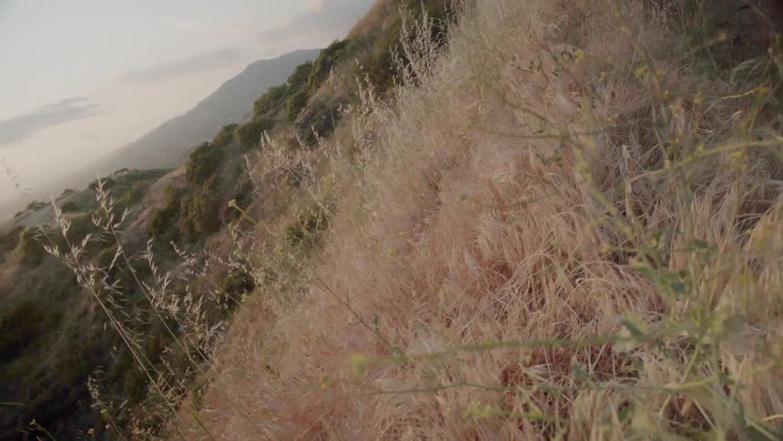 The hills ahead are covered with green bushes