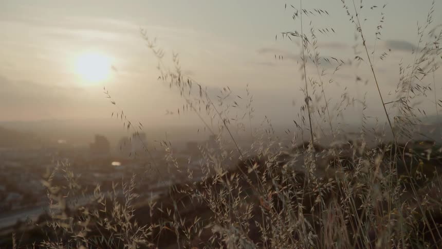 Tall grass on a hill overlooking a road and buildings