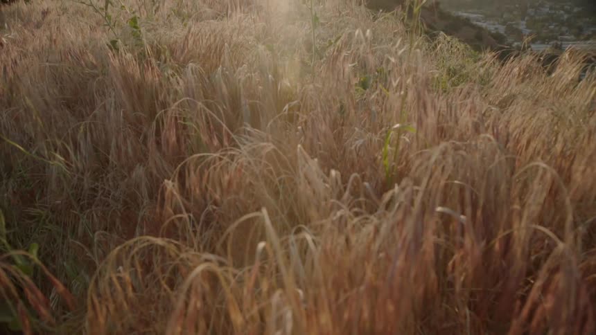 Sunlight is streaming through clouds onto grass on a hillside in the afternoon