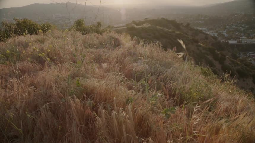 Grass and shrubs cover the hill landscape