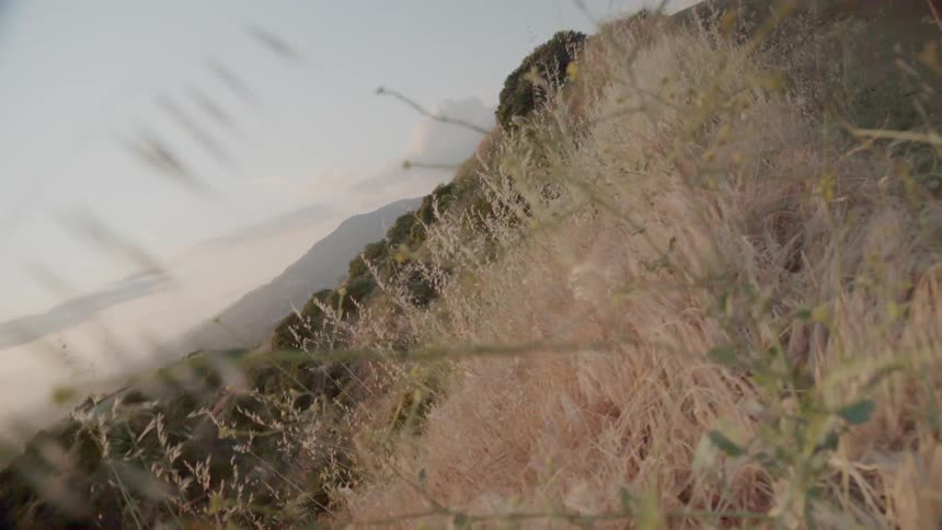 Green hills are past the yellow grass