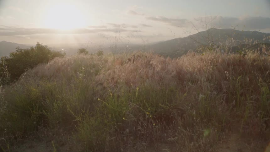 The hills has very tall grass all over