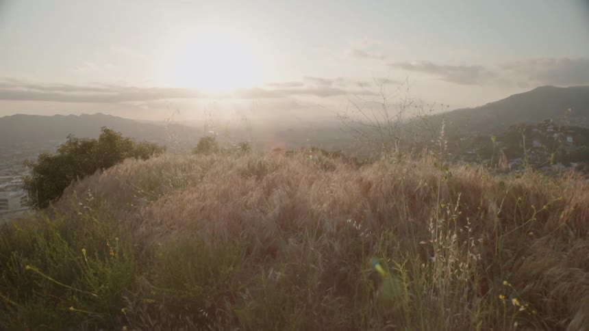 Grass and brush on a hilltop at sunset
