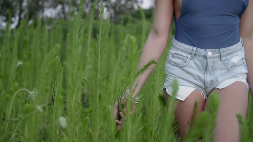 Woman walks in a field touching weeds