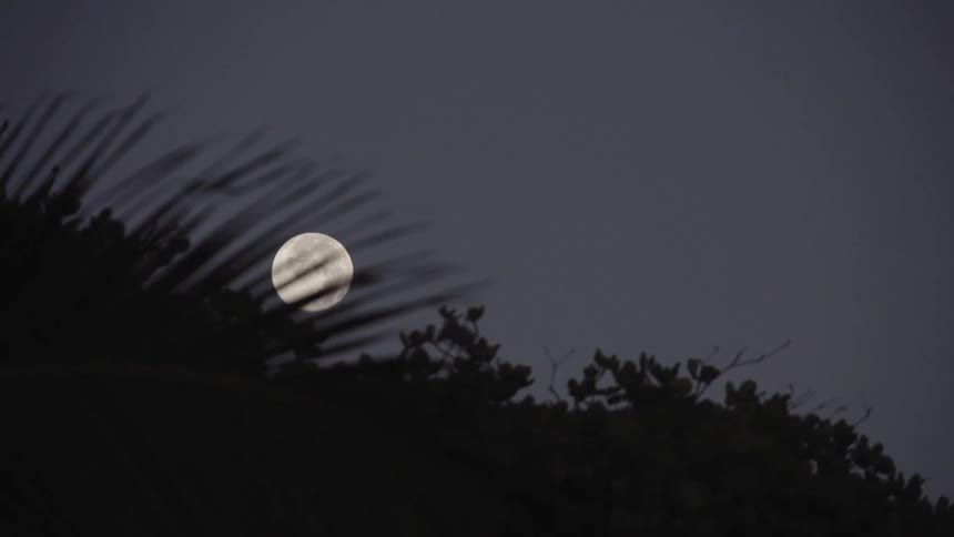 Moon can be seen in the distance in a clear sky