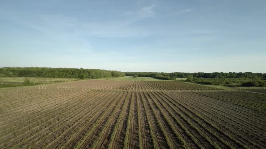 Farm Fields Aerials