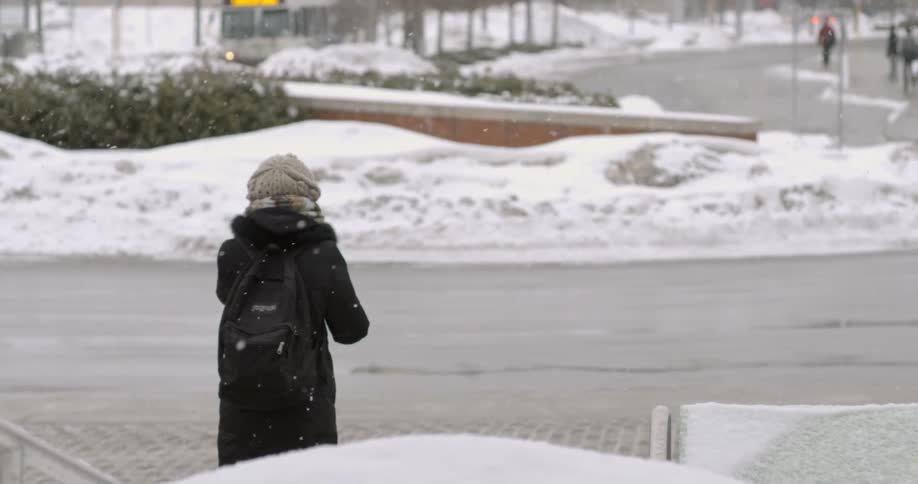 Woman walking down the street in snowy weather
