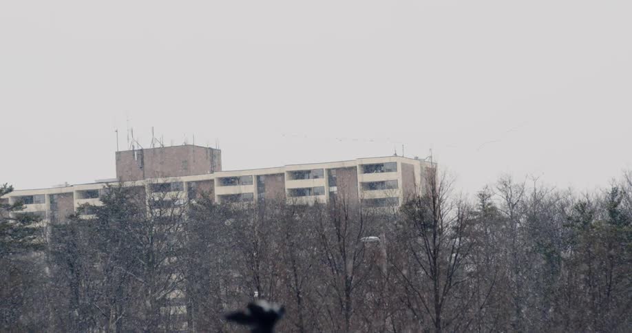 Snow slowly falling before some trees and a building