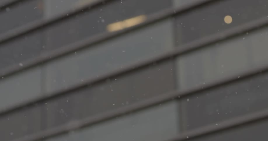Snowflakes falling in a city
