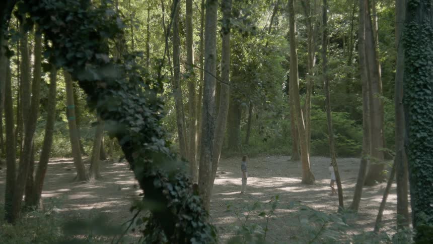 Two people stand together in the woods and then walk off