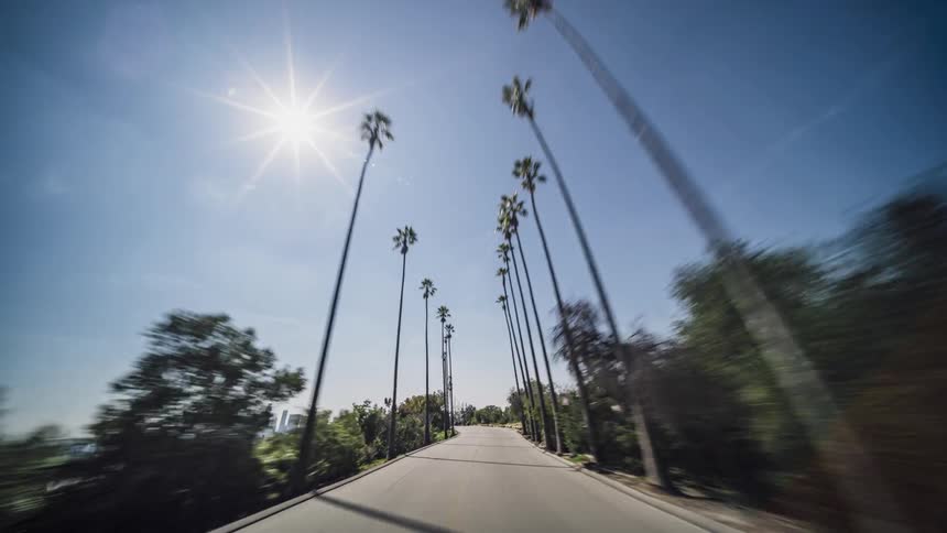 Traffic on a palm tree lined road on a sunny day