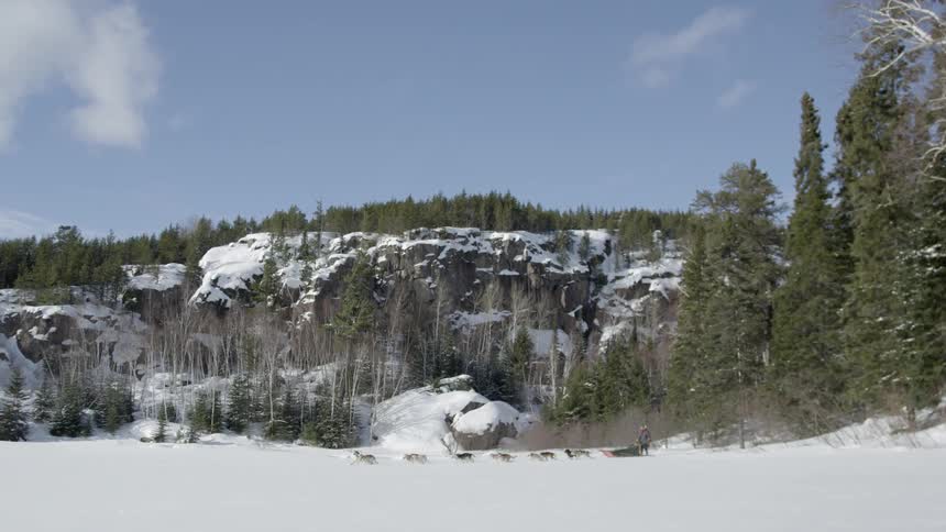 Dogs pulling a sled across snowy land with mountains nearby