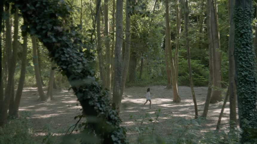 The two people hike past the tall trees