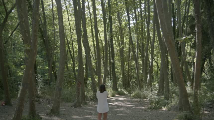 A woman walks towards the forest taking photographs