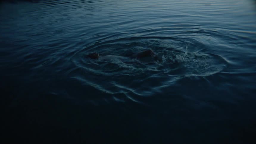The person is swimming around in the dark water