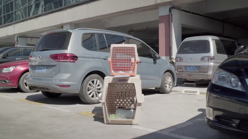 Pet crates are stacked next to a van in a parking lot