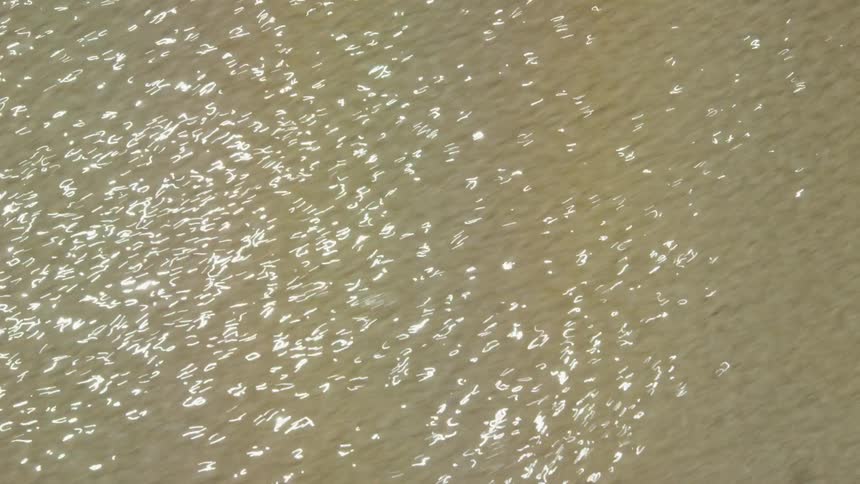 Sunlight reflects on the surface of the water