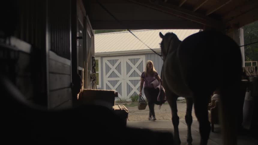 Woman carrying items into a horse stable by a horse