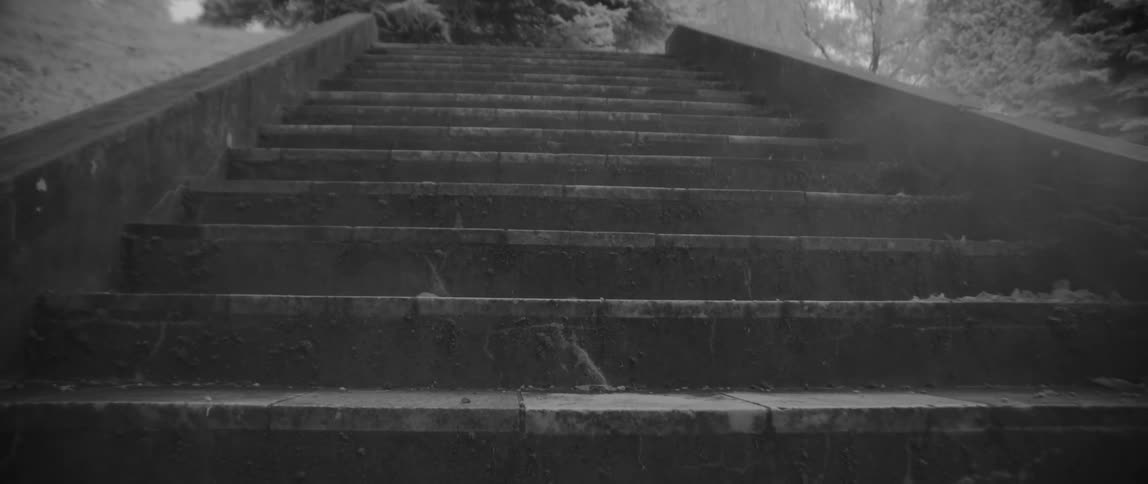 Fog floats around concrete steps