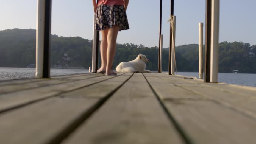 Woman walking on a pier towards a white dog