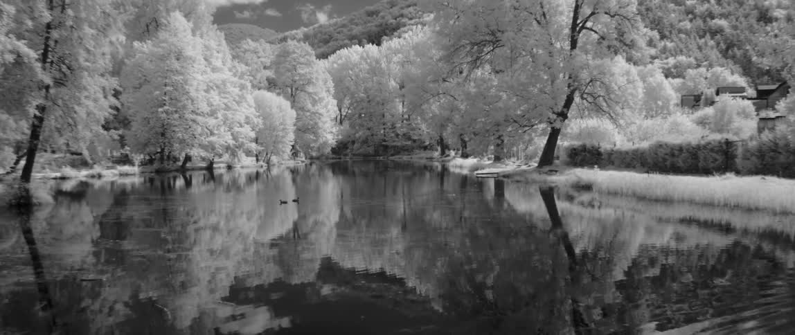 Water ripples on a lake