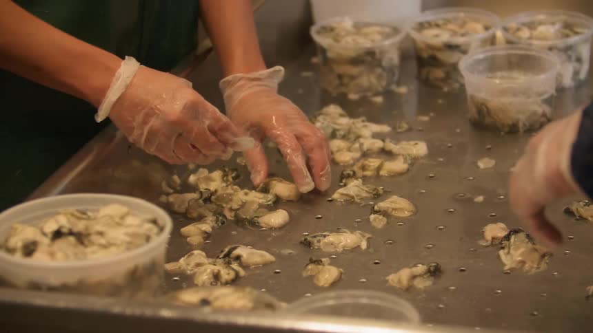 Workers in a kitchen sort through food and put it in containers