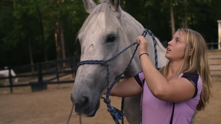 A woman is attaching a bridle to a horse