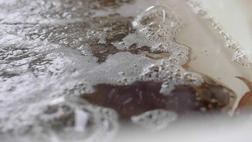 Water bubbles and flows above a crab