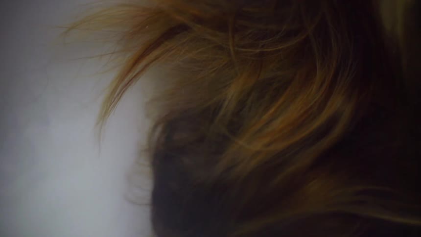 A woman's hair in the wind