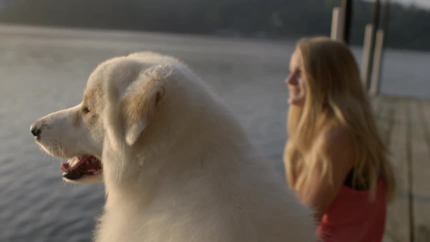Woman and her fluffy dog watch the water together