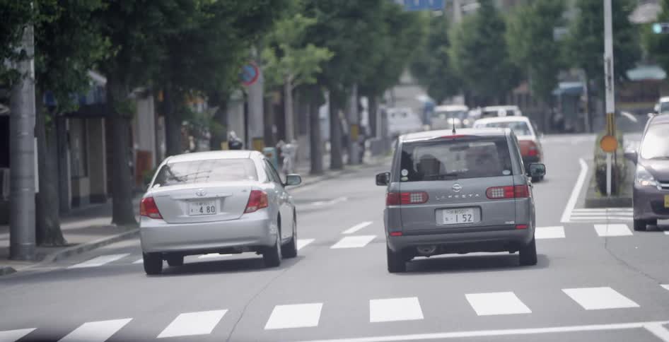 Several vehicles driving down a tree lined city street