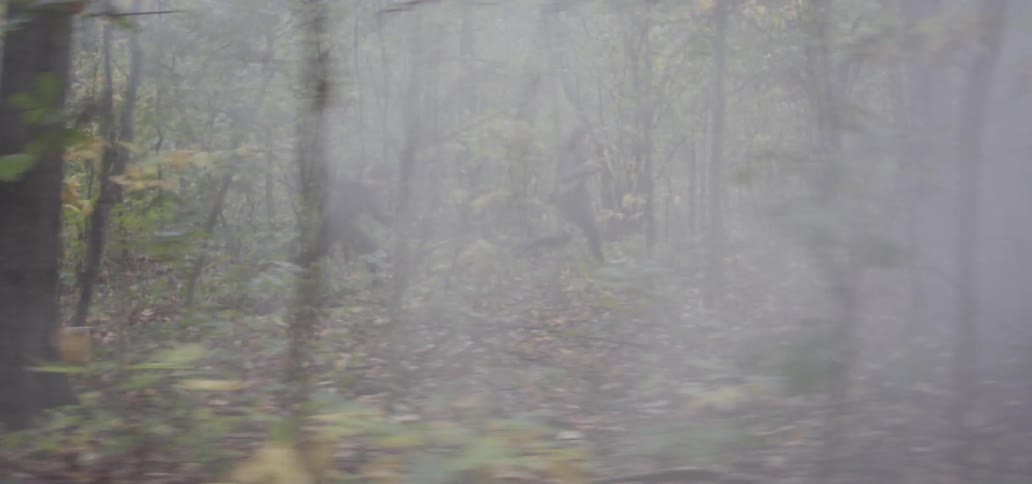 Man and woman run in a forest