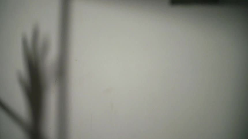 White wall with the shadow of a hand