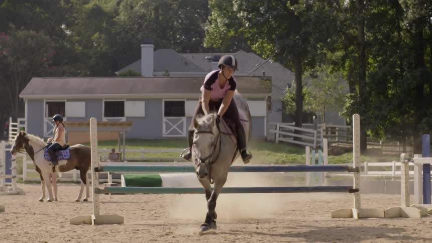 People riding horses on a sunny day