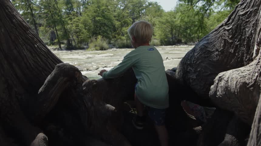 Young boy climbs over a tree trunk near the bridge
