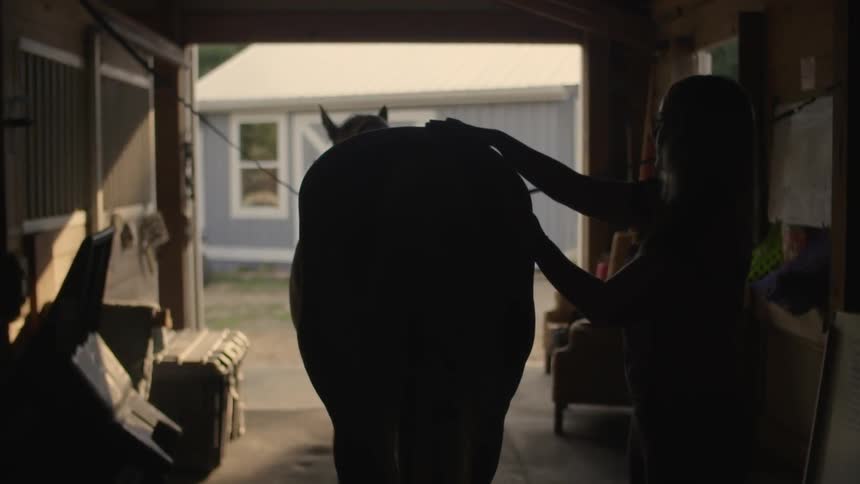 A woman brushes her horse in a barn