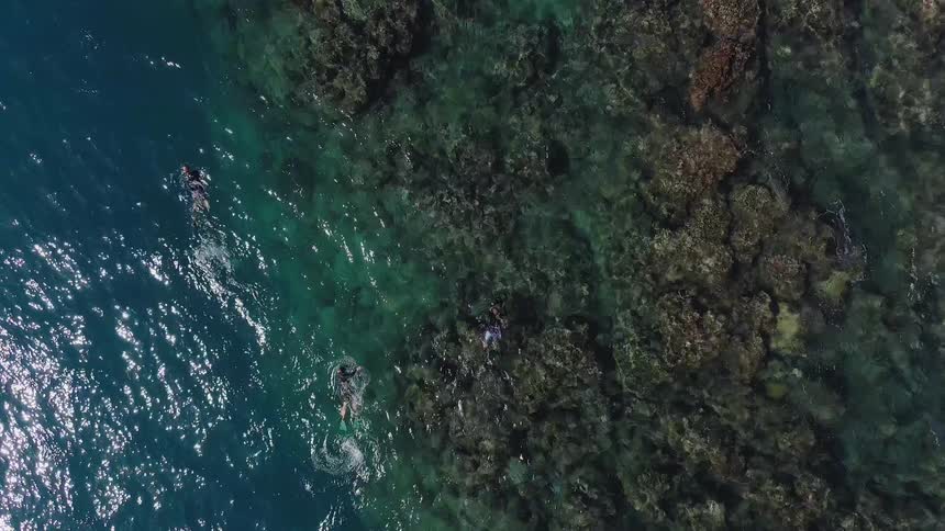 People swim in the ocean