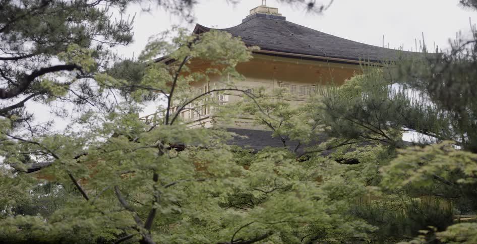 The trees are covering the building ahead