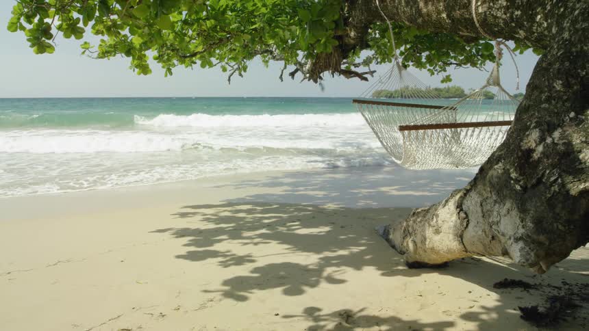 The hammock hangs from the tree on the beach