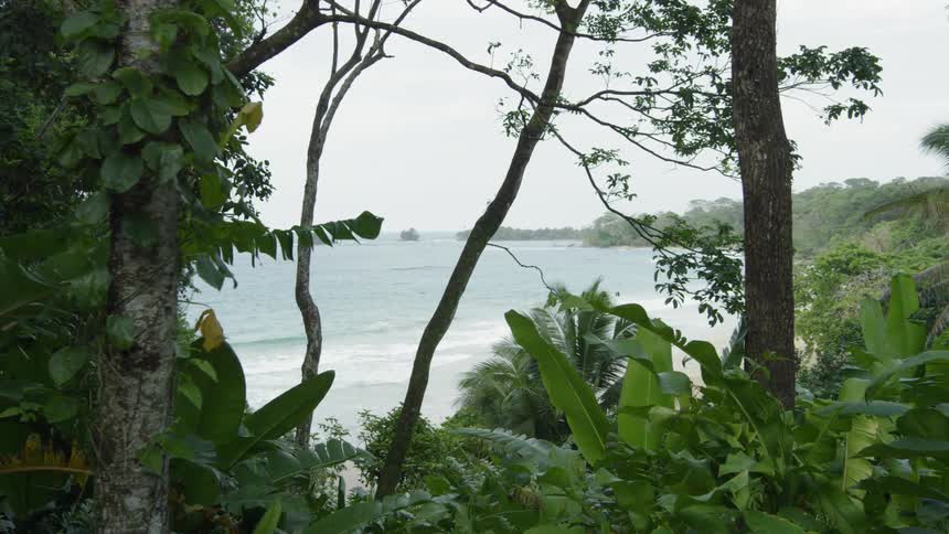 Water splashes to shore on a tree covered island