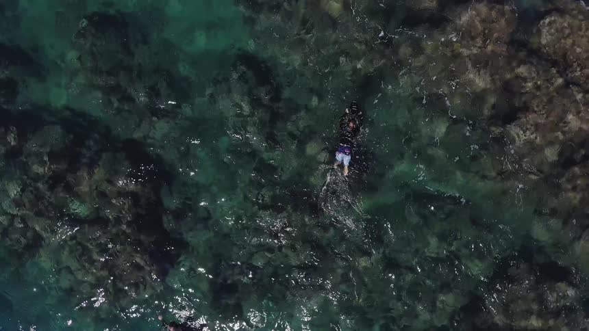 A snorkeler swims in the ocean