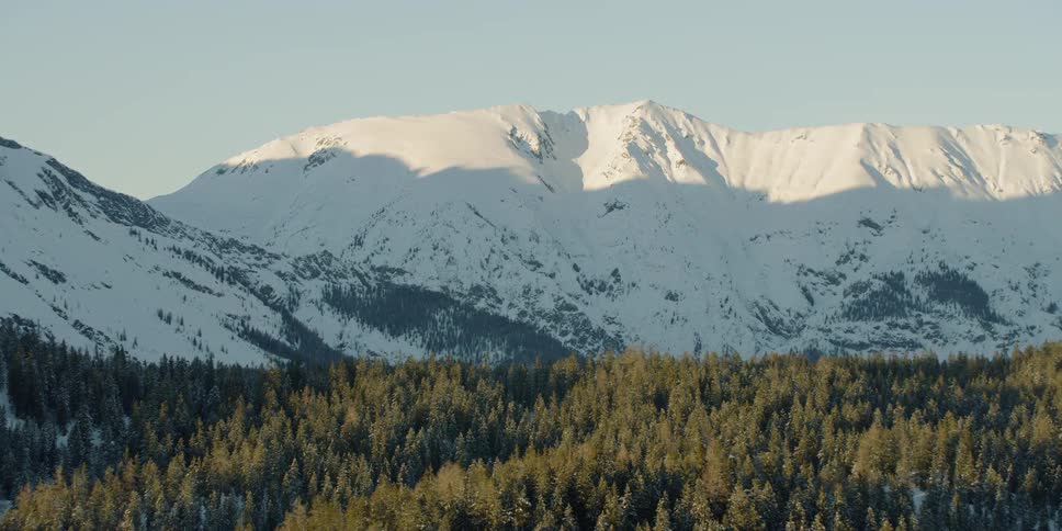 The tall mountain is covered with snow past the forest